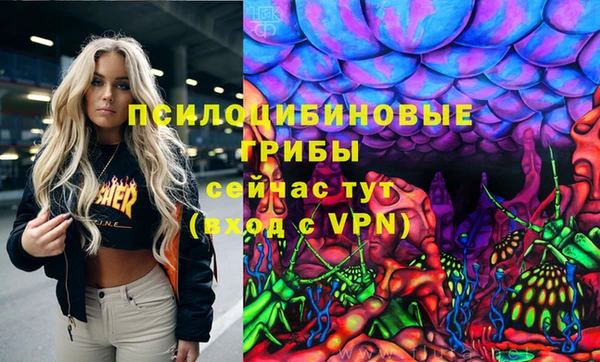 spice Покровск
