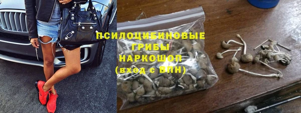 первитин Покачи