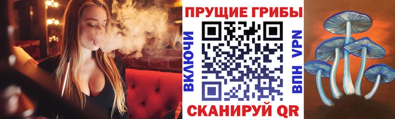 Галлюциногенные грибы мухоморы  Чухлома 