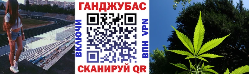 Бошки Шишки гибрид Чухлома